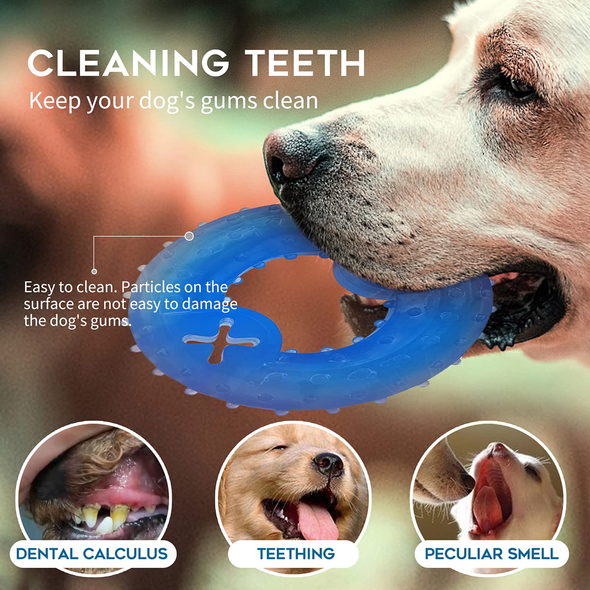 SPOFLY Freezable Puppy Teething Chew Toys Set - 1 Teething Ring + 1 Teething Bone for Puppies, Soothing Relief for Teething Pain - Perfect for Puppy Training, Boredom Relief & Dental Health (Blue)