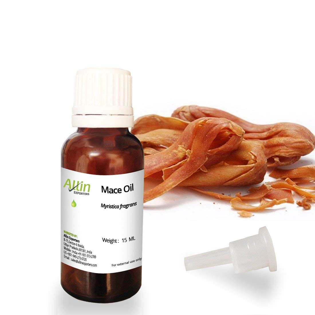 Allin Exporters 100% Pure & Natural Mace Oil - Undiluted Essential Oil for Aromatherapy, Massage & Skincare - 15 ML Bottle