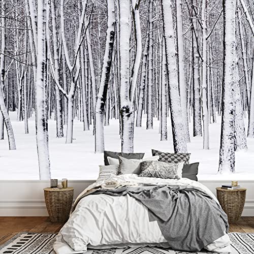 Blanket of Snow