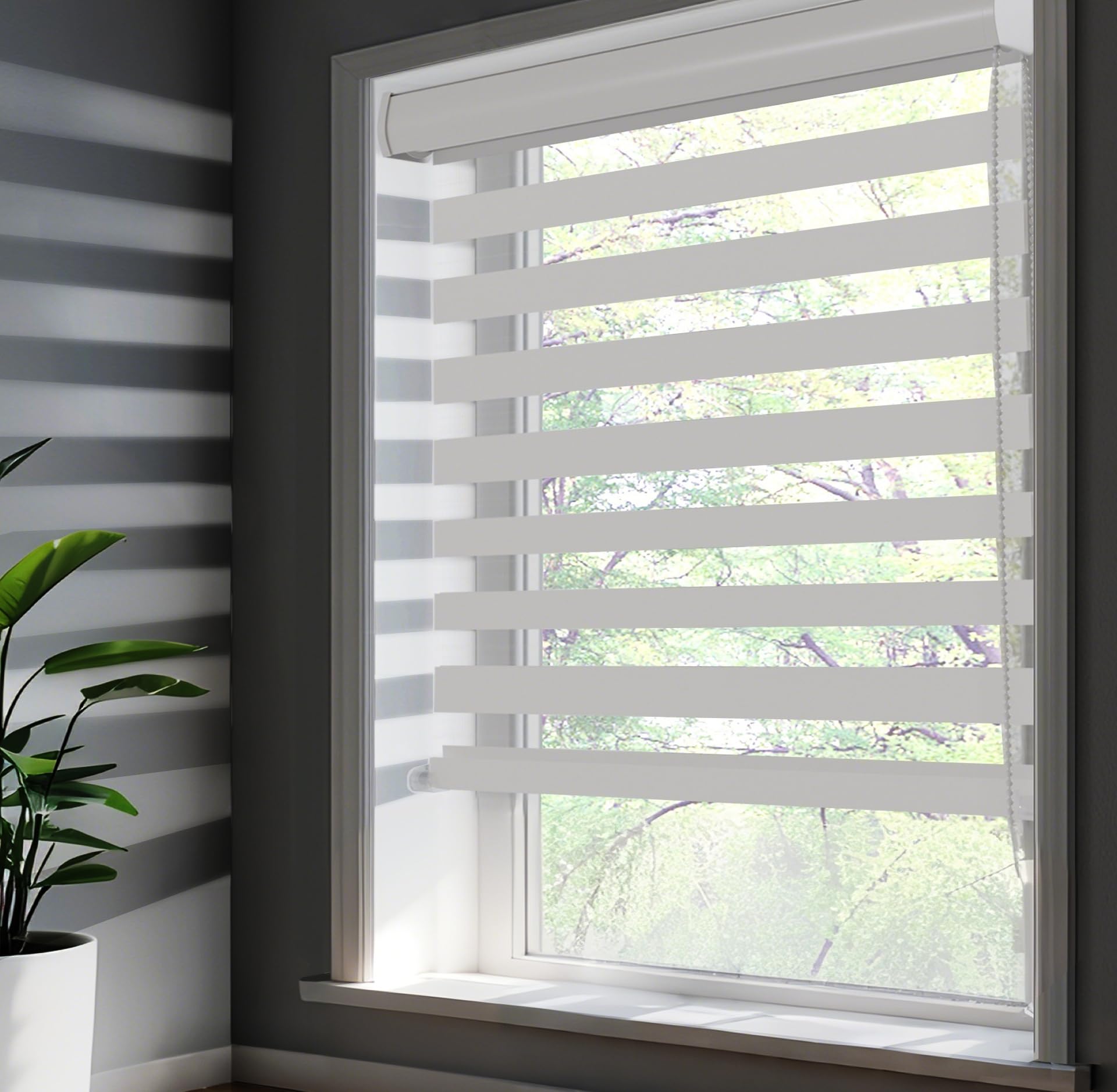 SUNWAY Dual Layer Zebra Roller Shades - Light Filtering & Blackout Window Blinds for Day & Night Privacy - 36