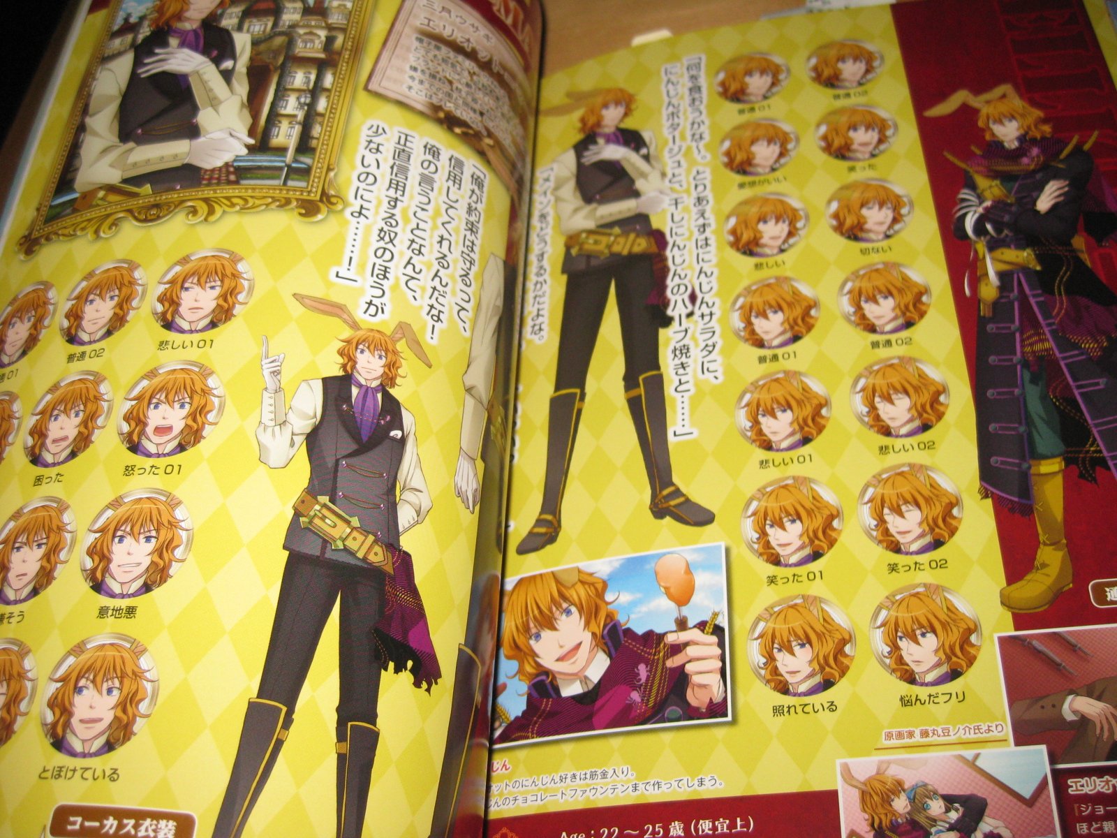 Wonderful Mirror World Official Visual Fan Book - Anime Art Collection & Character Guide | Perfect for Fans, Cosplayers & Collectors