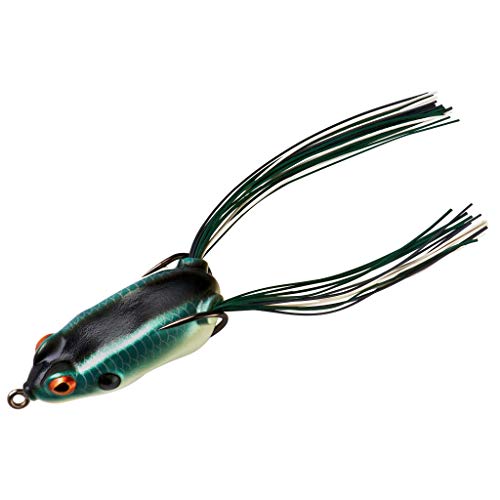 Shad Frog