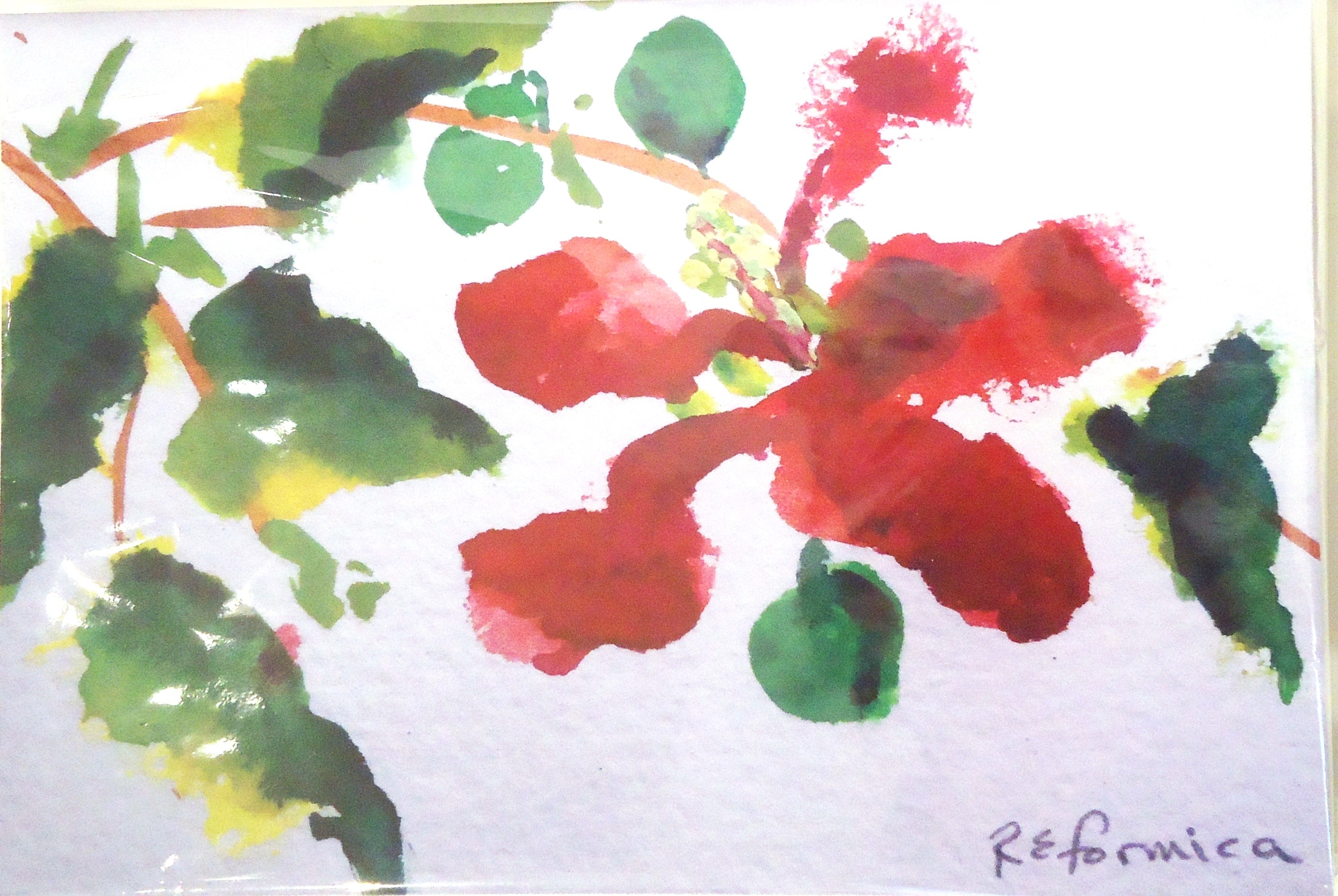 Ruth Formica Winter Notecard Set - Red Flower Holiday Greeting Cards for Christmas, Thank You Notes & Seasonal Correspondence (Set of 12) - Perfect for Gift Giving, Party Invitations & Festive Mailings