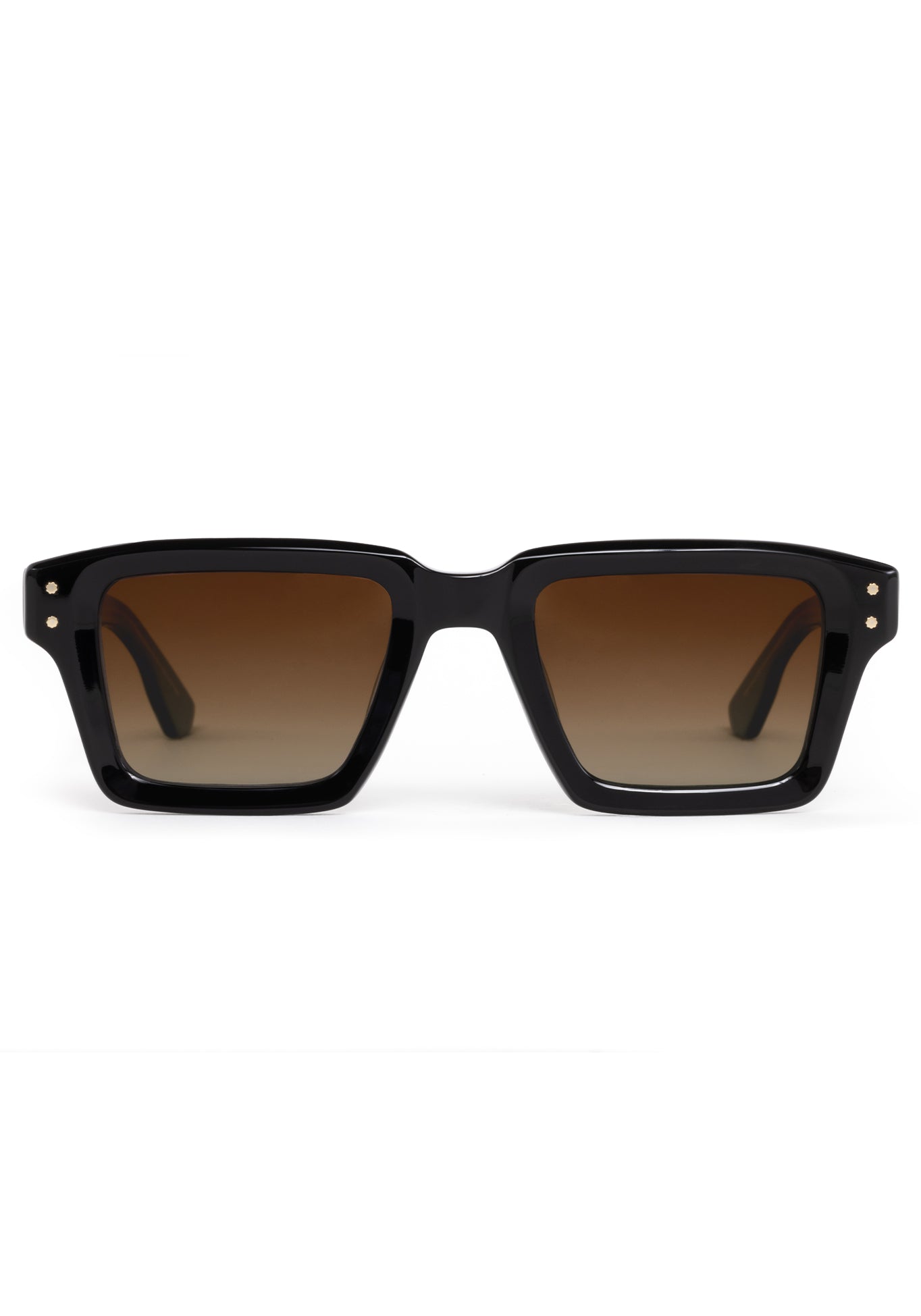 CARTER Polarized Sunglasses for Men & Women - Classic Black Frame with Black Tea Lenses - UV Protection for Driving, Fishing & Outdoor Activities
