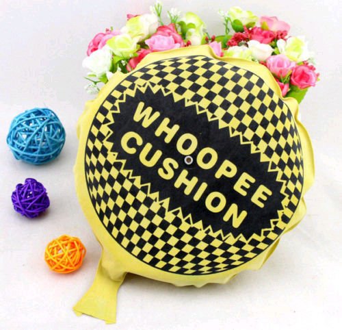 VIDOO Whoopee Cushion Prank Pet Pad - Funny Gag Toy for Jokes & Pranks - Perfect for Parties, Gifts, and Hilarious Surprises