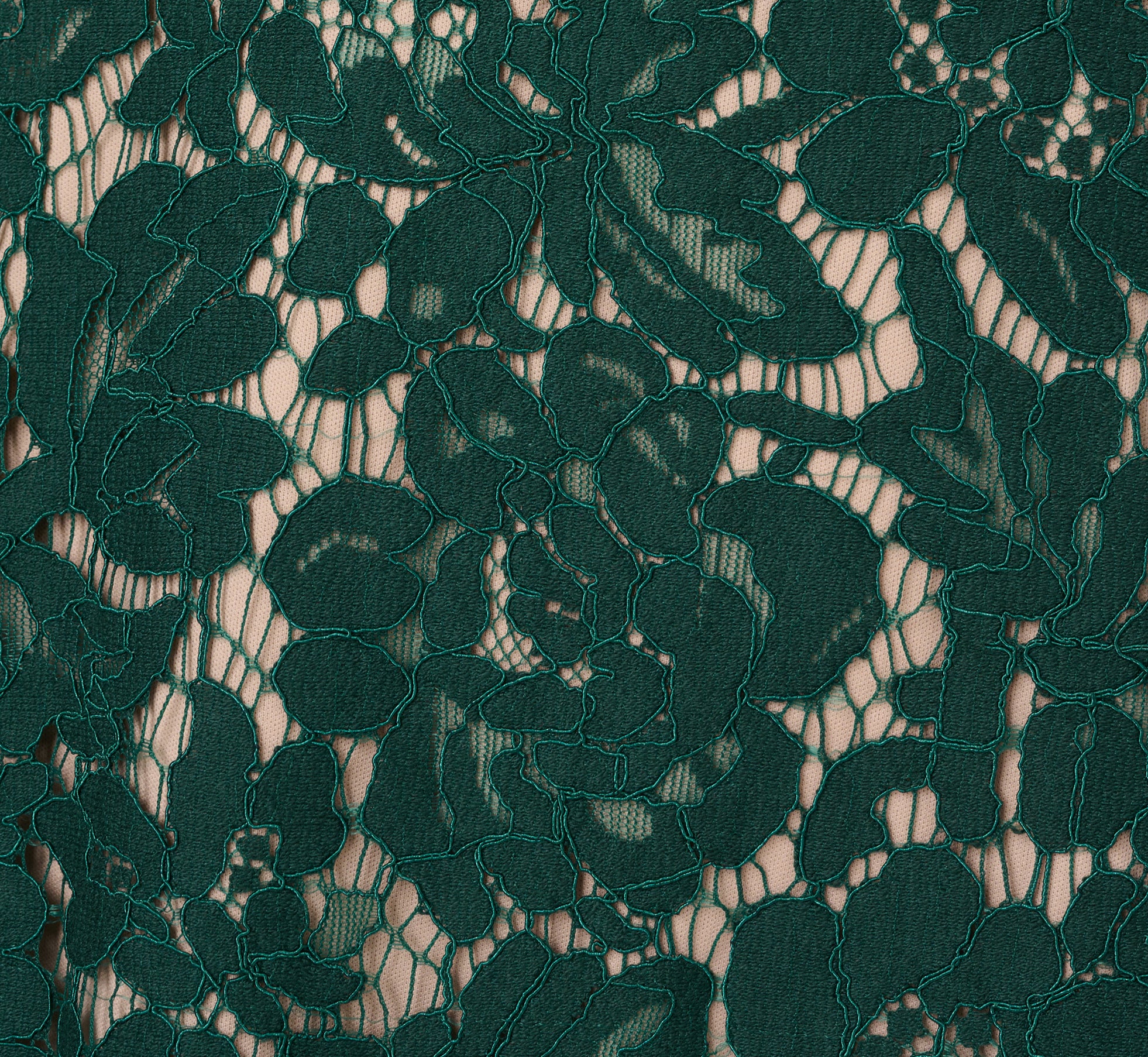 Elegant Sleeveless Lace Fit and Flare Dress with Sheer Details in Hunter Green - Perfect for Weddings, Parties & Special Occasions