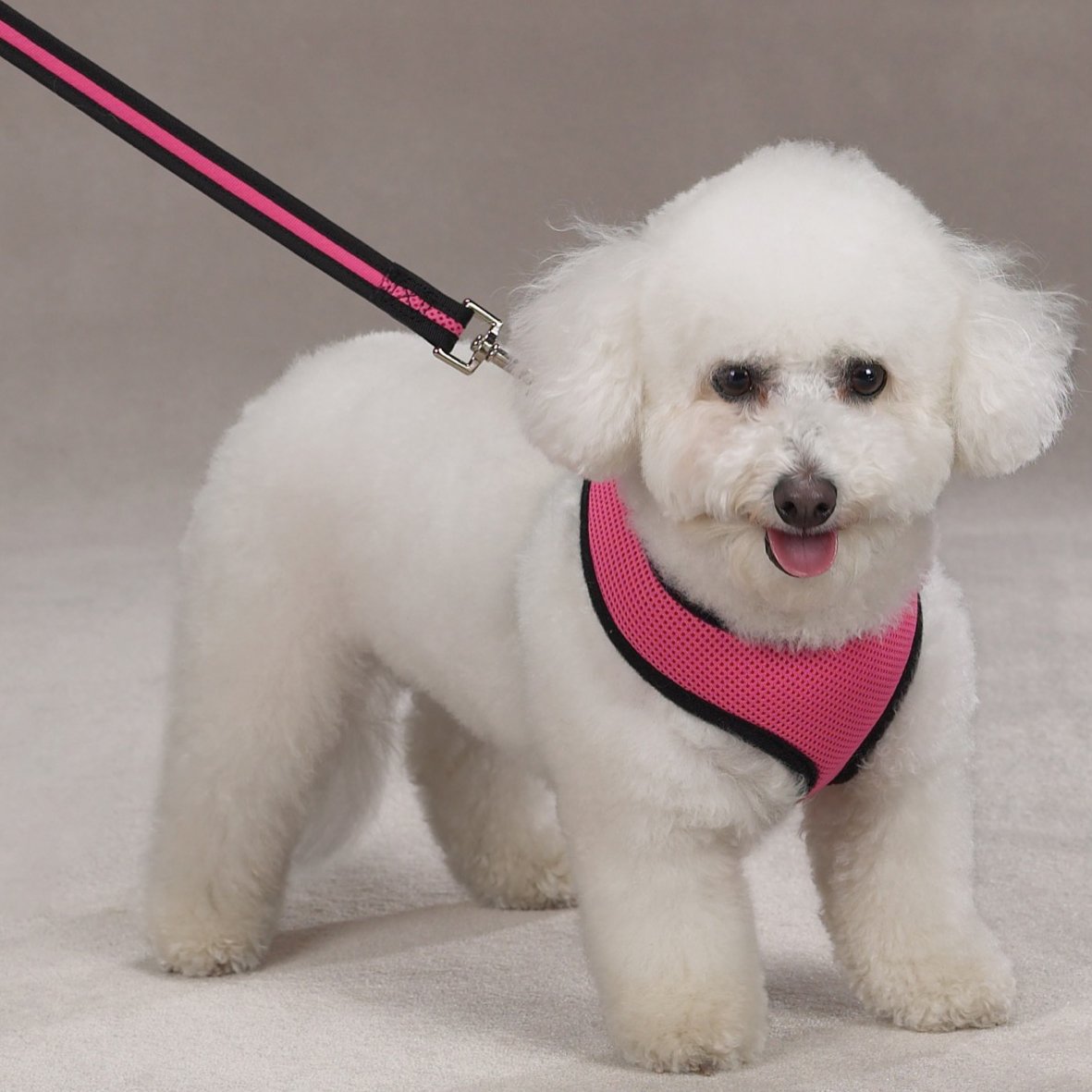 Breathable Mesh Dog Harness - X-Small Pink Pet Vest for Small Dogs & Puppies - Perfect for Walking, Training & Outdoor Adventures