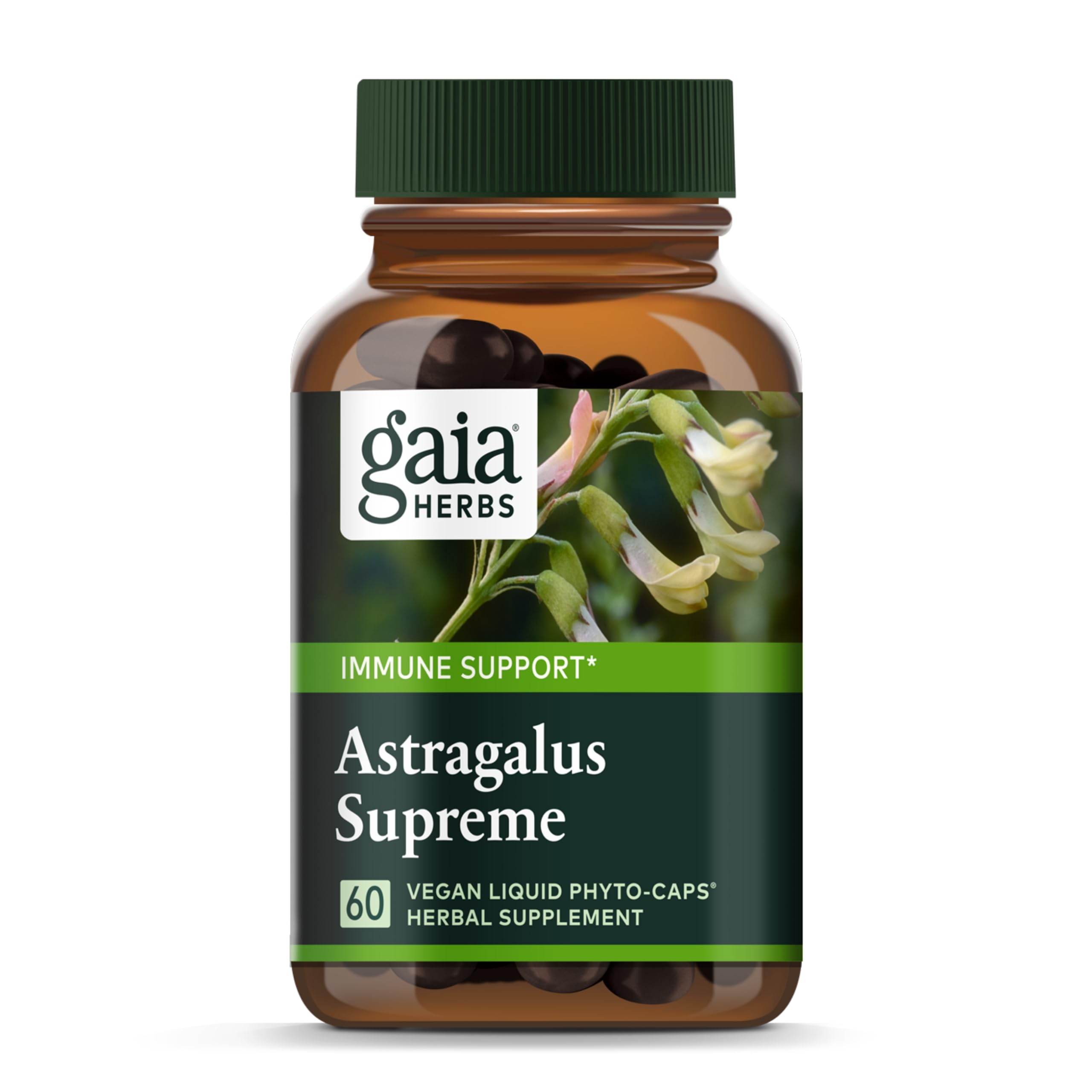 Gaia Herbs Astragalus Supreme - Immune & Antioxidant Support Supplement with Astragalus Root, Schisandra Berry, Ligustrum - 60 Vegan Liquid Phyto-Capsules (15-Day Supply) - Boost Energy & Vitality for Active Lifestyles