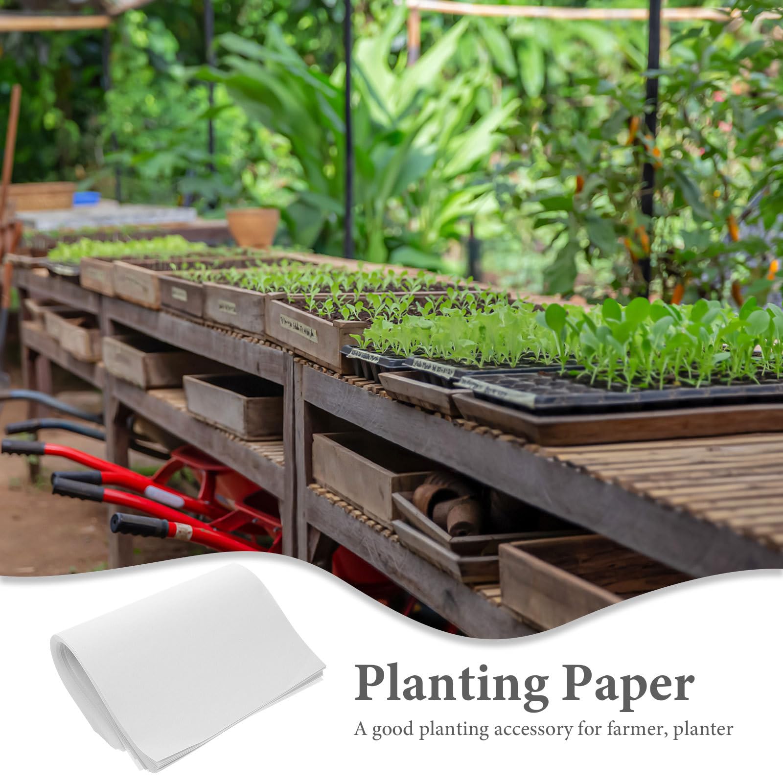 Hemoton 100 Pcs Seed Sprouter Paper - Organic Germination Growing Paper for Vegetables, Herbs & Microgreens | 18x26cm Plant Starter Tray for Hydroponic Gardening, Indoor Farming & Home Garden Seed Starting