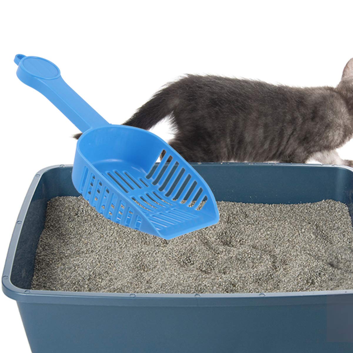Premium Cat Litter Scoop with Holder - Durable Stainless Steel Pet Waste Shovel for Kitty Litter Box Cleaning (2-Pack) - Perfect for Multi-Cat Homes & Easy Litter Maintenance
