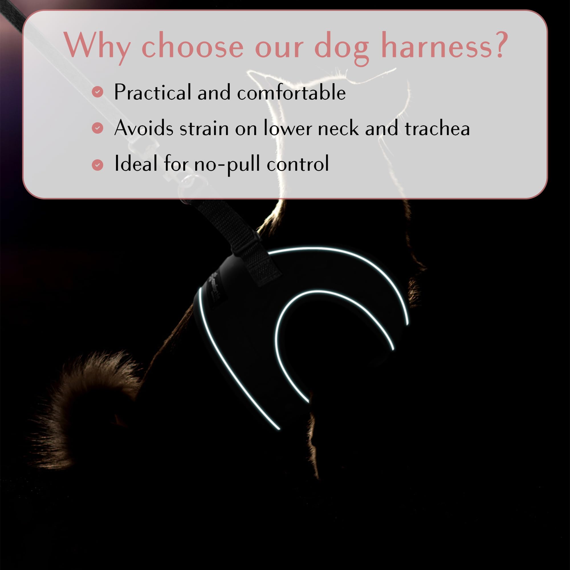 All Weather Reflective Step-in Dog Harness - Adjustable Soft Padded Vest for Small & Medium Dogs - Comfort Fit Easy Walk Harness for Daily Walks, Jogging & Outdoor Adventures