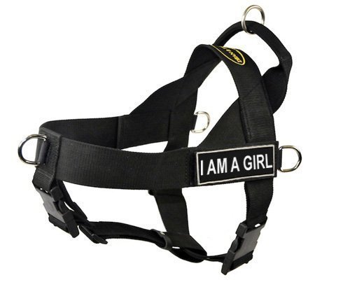 No Pull Dog Harness for Small Dogs - Adjustable Pet Vest Harness (Fits 24-27 Inch Girth) - Comfortable & Secure Walking Gear for Girl Puppies - Perfect for Training, Hiking, and Daily Walks