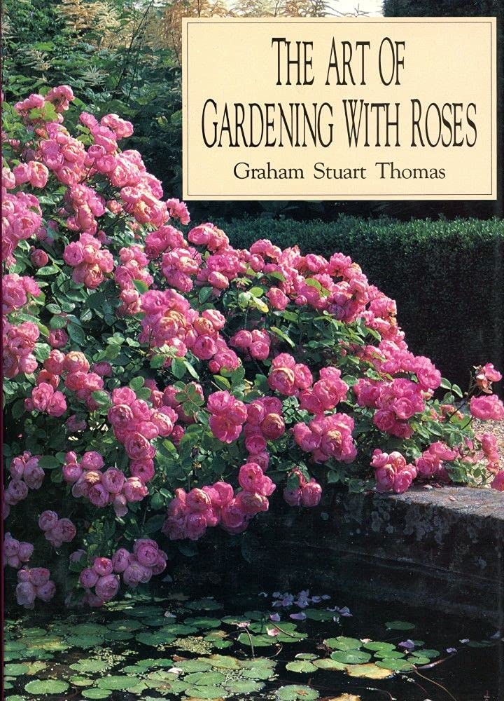 Rose Gardening Guide: Tips & Techniques for Beautiful Blooms | Perfect for Home Gardens & Landscaping