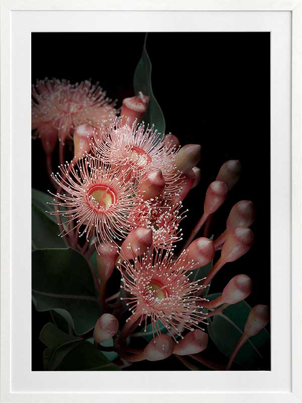 Eucalyptus Flowers Poster - Botanical Wall Art Decor for Home, Office & Living Room - Perfect for Farmhouse, Boho & Modern Interior Design