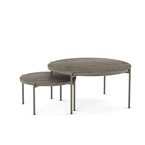 Greyish-brown Tfl / Grey Metal