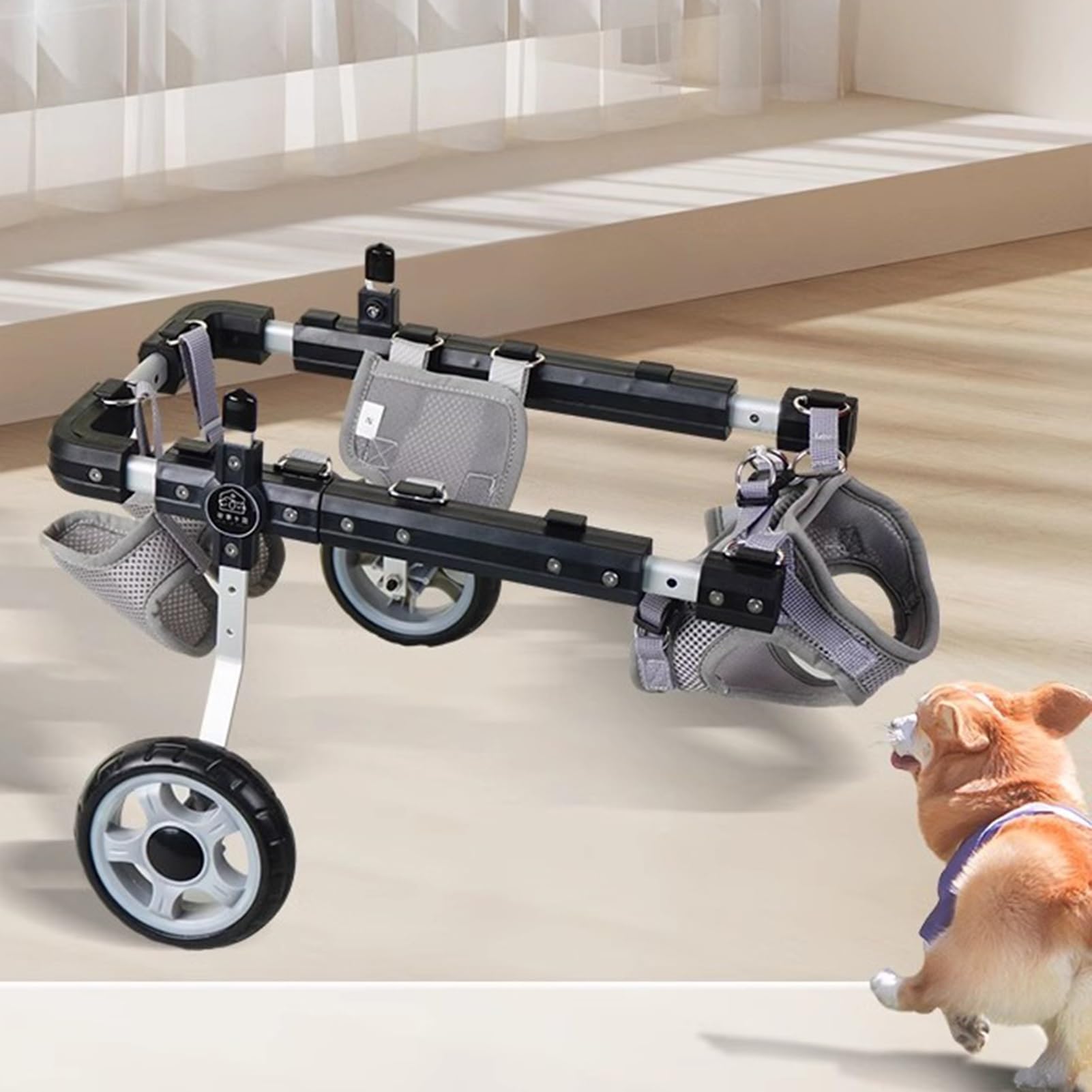 Adjustable Dog Wheelchair Cart for Disabled Pets - Small, Medium & Large Size Pet Mobility Scooter for Hind Leg Injuries | Perfect for Rehab, Outdoor Walks & Daily Support (Large)