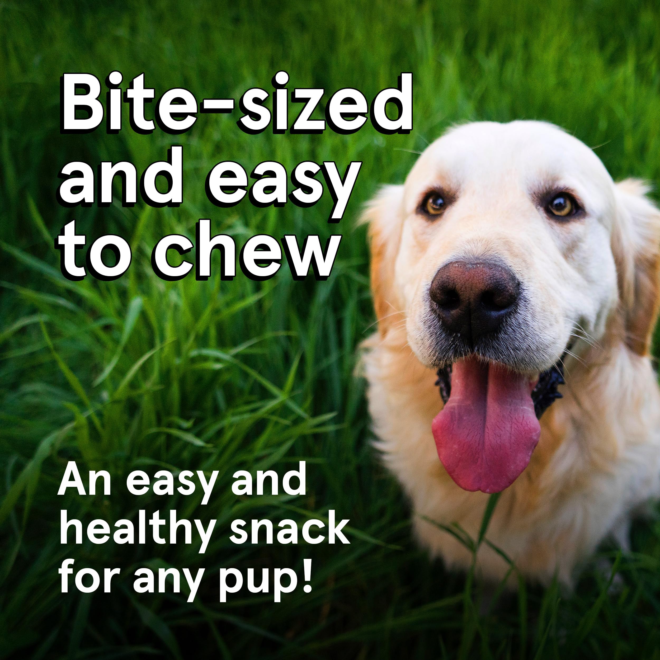 Premium Grain-Free Dog Treats - 2 Pack 12oz Air-Dried Beef Jerky for Dogs | 95% Human-Grade, Free-Range Grass-Fed Beef | High Protein, All-Natural Training Rewards & Dental Chews for Small & Large Breeds | Perfect for Outdoor Adventures & Daily Snacking