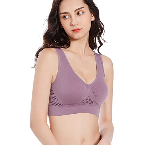 Bean Paste Purple