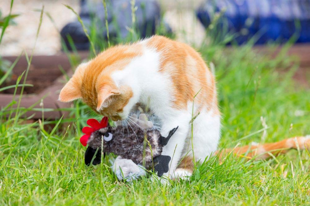 Refillable Catnip Plush Cockerel Cat Toy - Interactive Kitten Plaything with Organic Catnip - Perfect for Playtime, Training & Stress Relief for Indoor Cats
