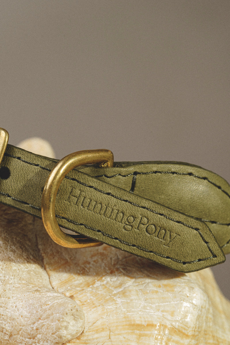 Premium Dog Collar - Country Pony Green - Adjustable & Durable Pet Collar for Small & Medium Dogs - Perfect for Walks, Training & Outdoor Adventures