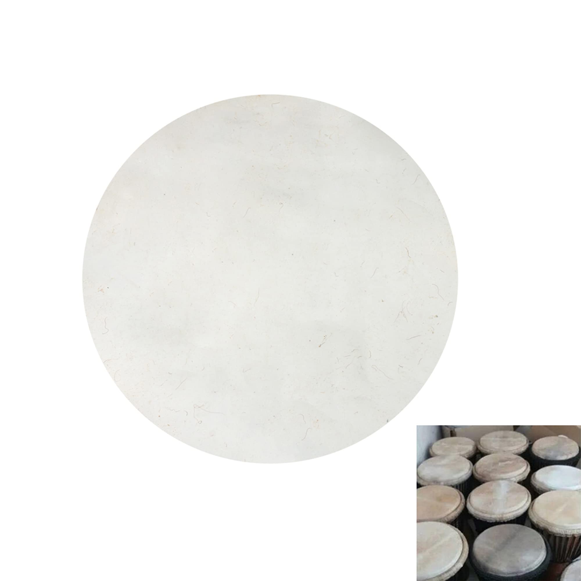 35cm Bongo Drum Head - Round Drum Skin Replacement - 2 Pack for Percussion Instruments - Perfect for Drum Repair, Music Performances & Studio Recording