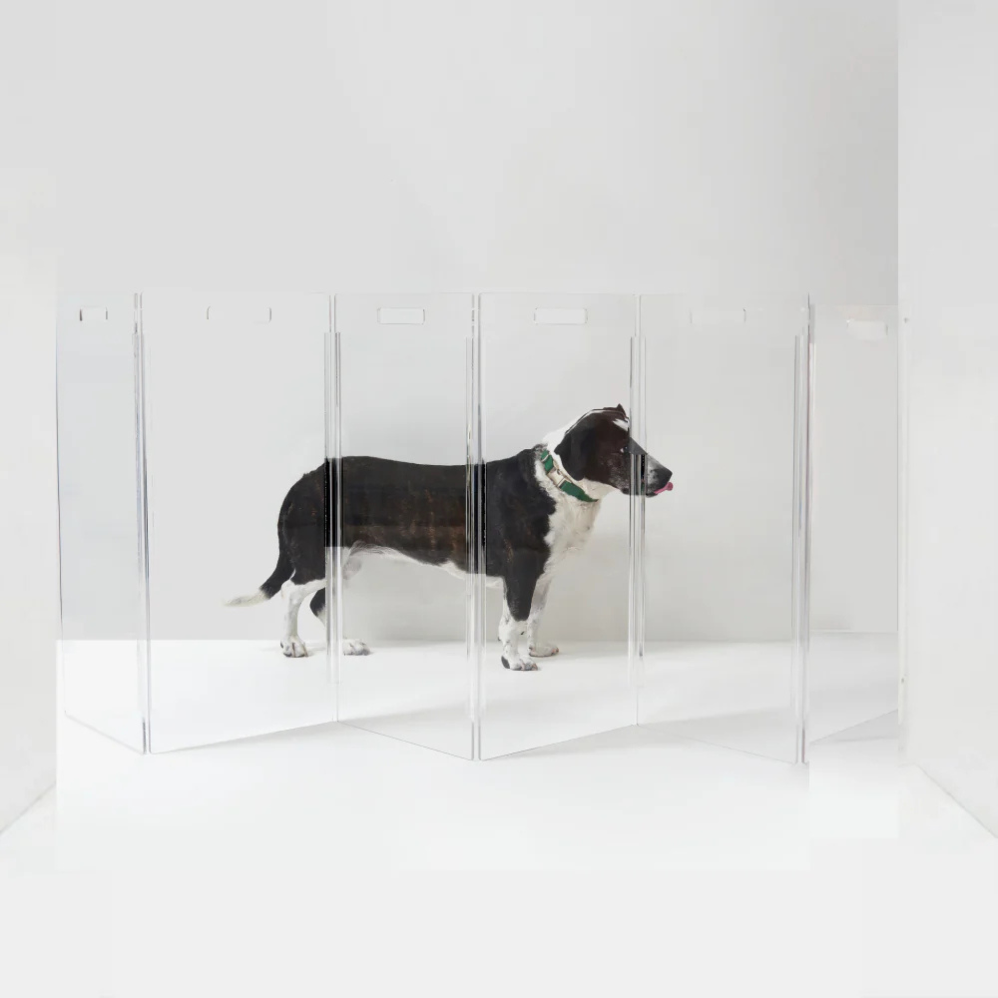 Clear Freestanding Zig Zag Panel Pet Gate - Expandable Safety Barrier for Dogs & Cats - Perfect for Doorways, Hallways & Stairs - Home & Office Use