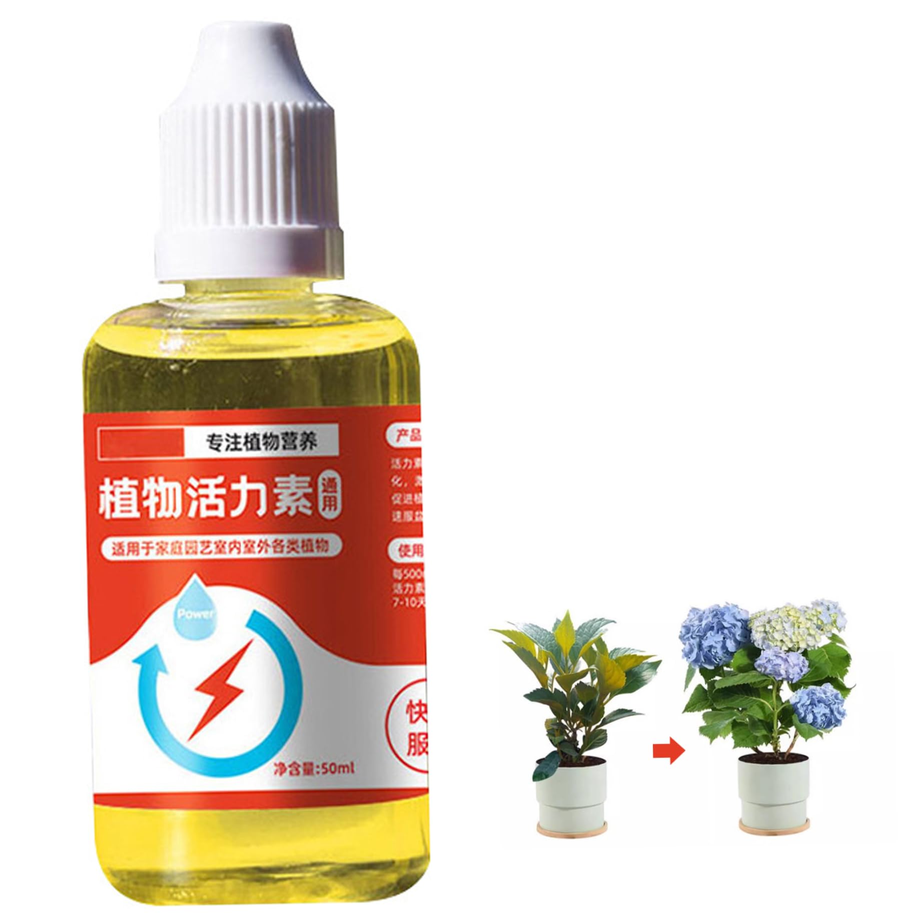 50ML Indoor Plant Fertilizer & Rooting Hormone - Concentrated Nutrient Solution for Flowers, Lawns & Gardens | Promotes Root Growth for Cuttings & Leaf Spray | Ideal for Houseplants, Hydroponics & Organic Gardening