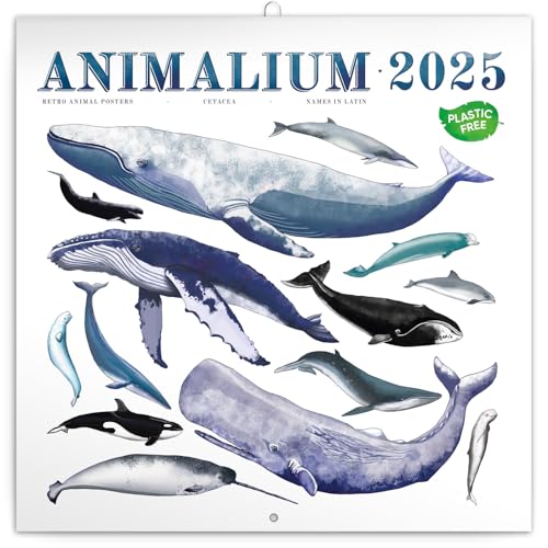 Animalium 2025