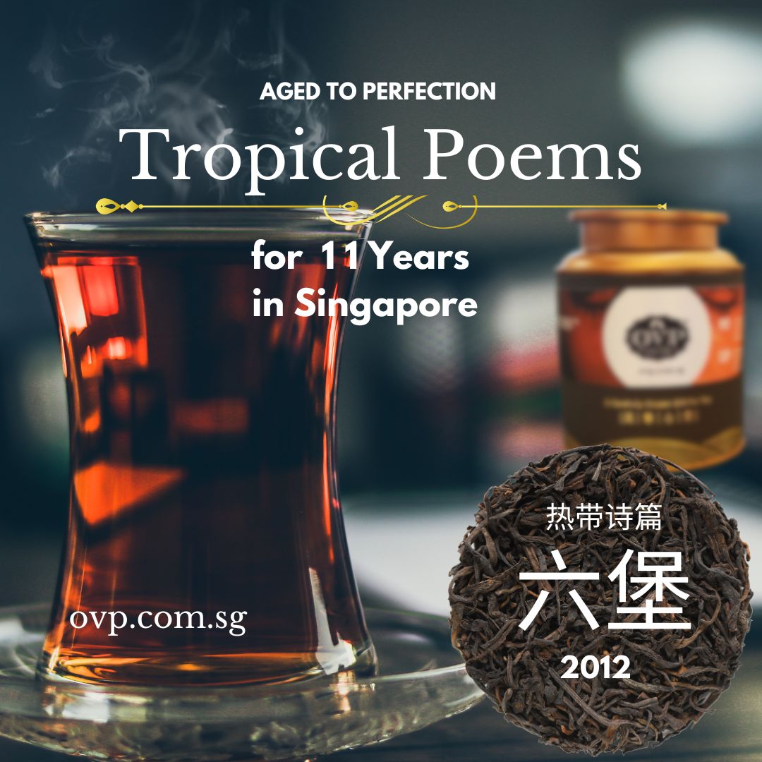 Premium 2012 Old Village Liupao Loose Tea - Aged Dark Tea from Guangxi, China | Authentic Tropical Flavor for Tea Lovers | Perfect for Relaxation, Gifts & Afternoon Tea Time