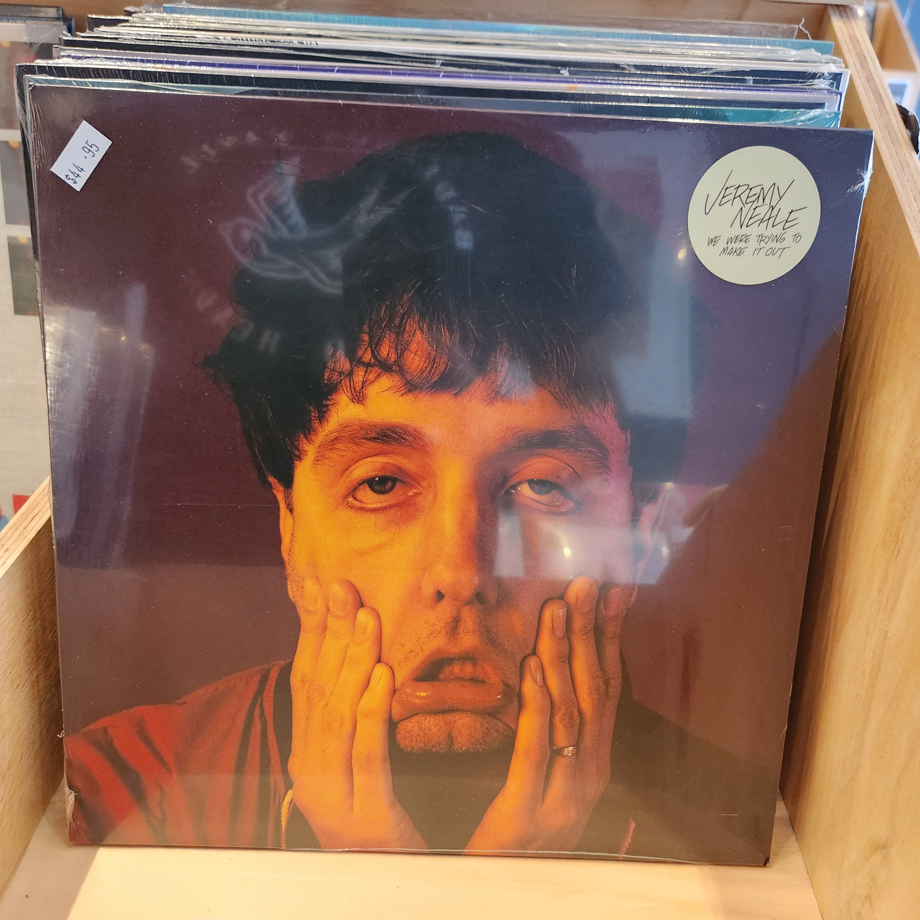 Jeremy Neale - We Were Trying to Make Out Vinyl LP Record | Indie Rock Music for Home Listening & Collector's Item