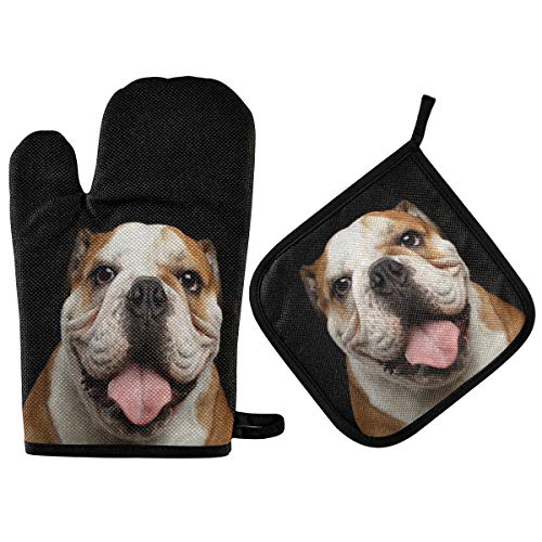 Bulldog
