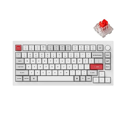 Hot-swap Keychron K Pro Red Switch