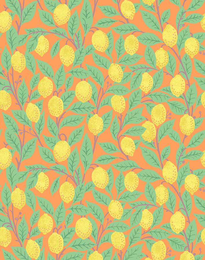 Lemons Peel & Branch Wallpaper by Nathan Turner - Vintage Citrus Fruit Peel Pattern - Perfect for Kitchen, Bathroom, and Farmhouse Decor