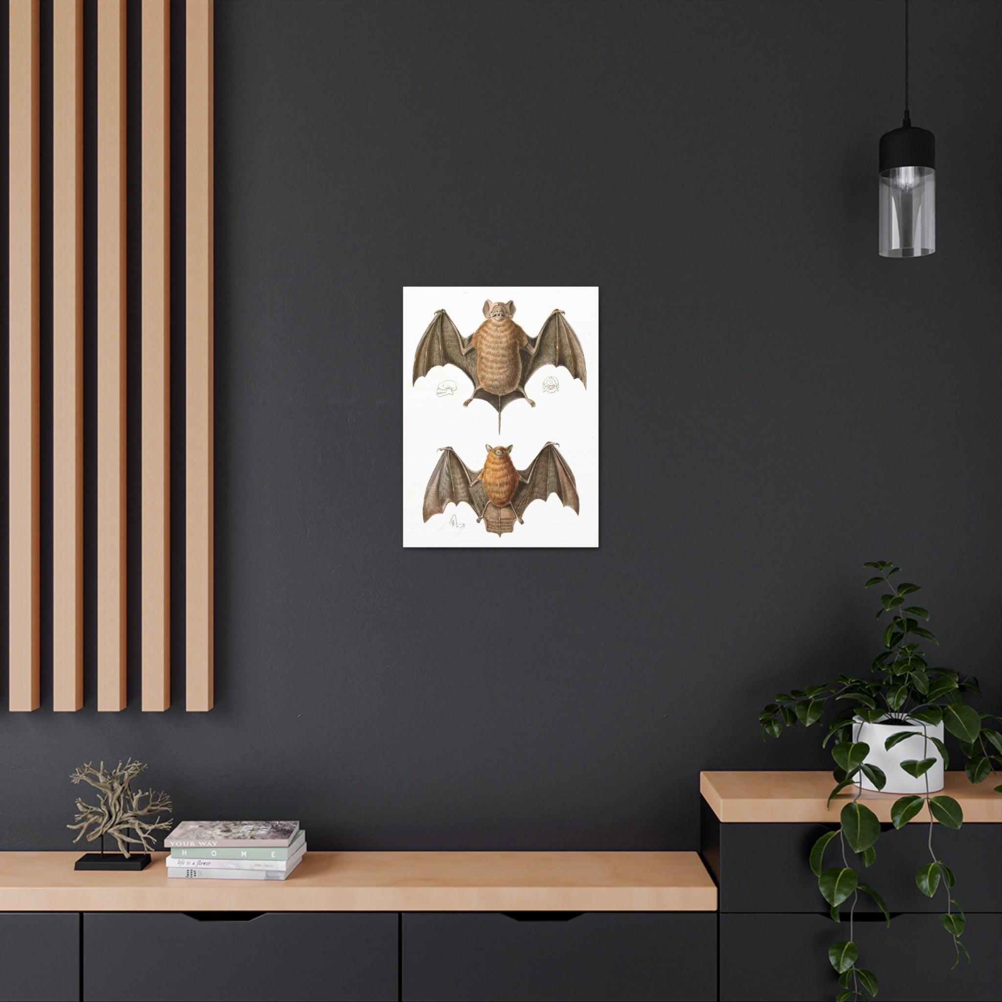 Free Tailed Bats Wall Art - Stunning Wildlife Illustration Canvas Print for Home & Office Decor - Perfect for Nature Lovers, Bat Enthusiasts, and Gothic Interior Design