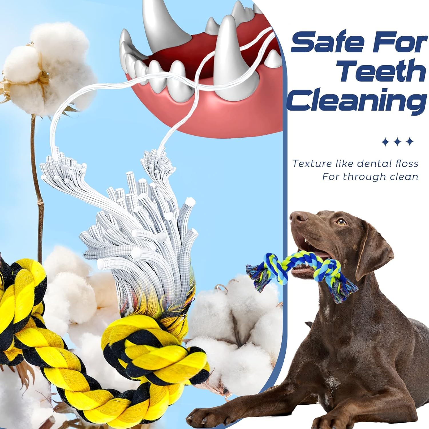 SHARLOVY 5 Pack Indestructible Dog Chew Toys for Aggressive Chewers - Tough Cotton Rope & Bone Chew Toys for Large Breed Dogs - Perfect for Playtime, Training, and Dental Health
