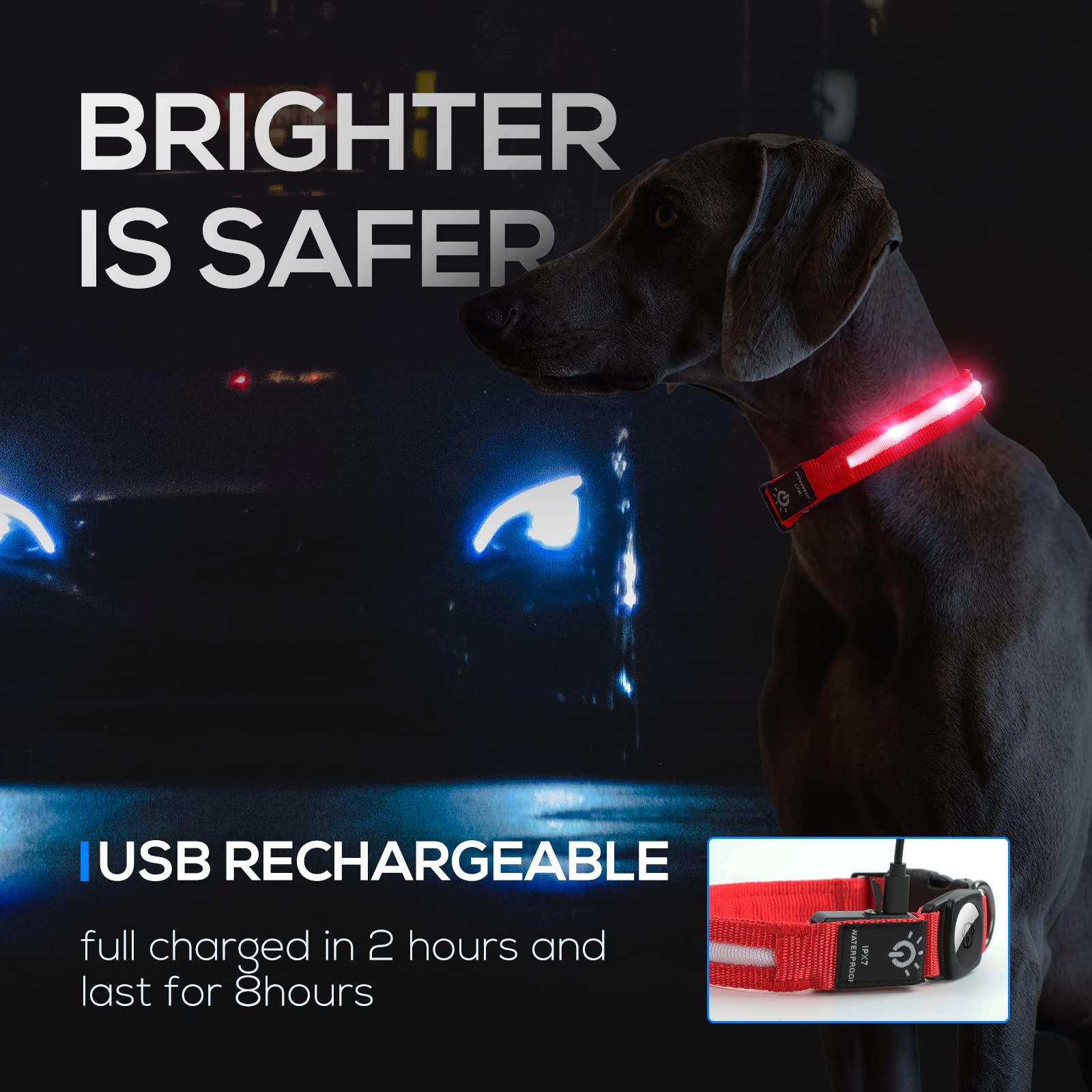 LED Air Tag Dog Collar with Light - IPX7 Waterproof & Rechargeable, Apple AirTag Holder Case for Small Medium Large Dogs - Perfect for Night Walks, Hiking & Pet Safety Tracking
