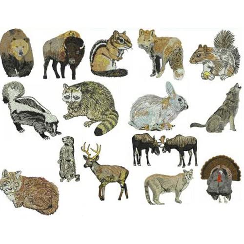Forest Animals1