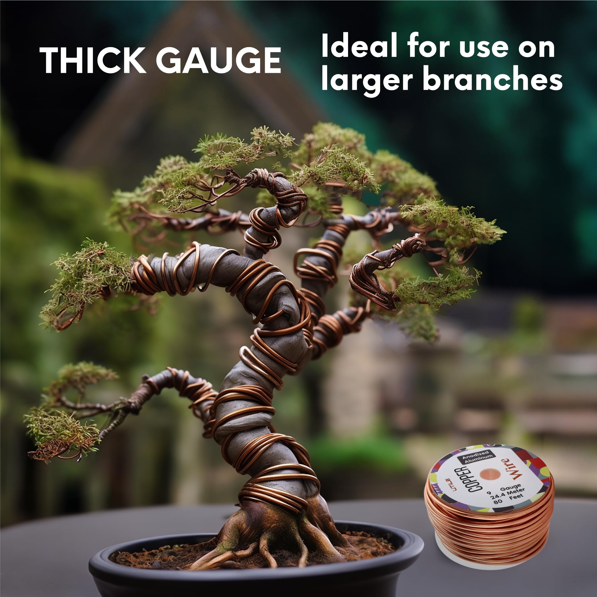 Anodized Aluminum Bonsai Training Wire - 3mm (9 Gauge) 80ft Flexible Plant Wire Kit - Corrosion & Rust Resistant for Bending Shaping Trees - Perfect for Bonsai, Topiary, and Plant Sculpting Projects