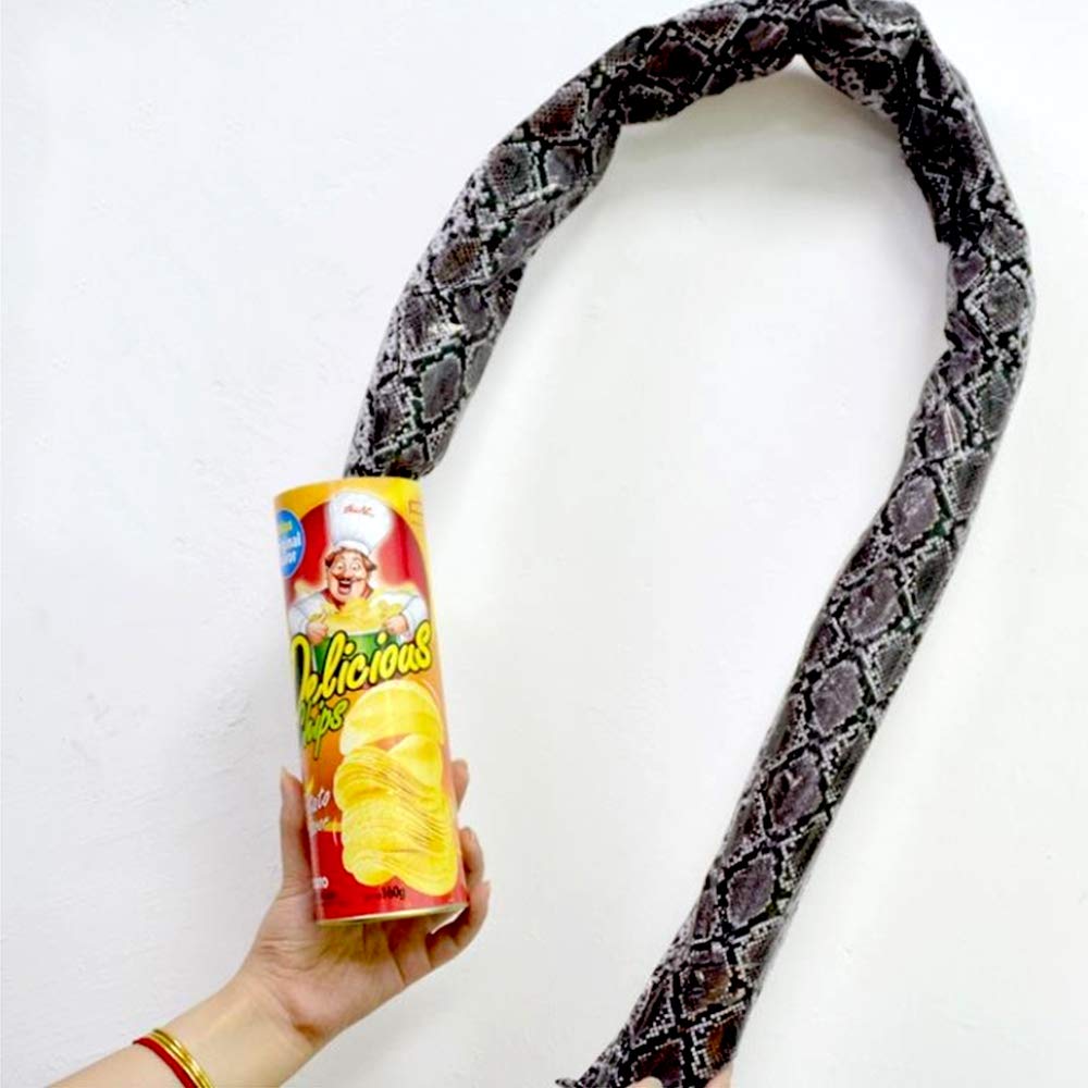 Funny Prank Gifts for Kids - Magic Potato Chip Can Toy with Fake Fries | April Fools Day & Halloween Party Decorations | Great for Pranks, Gag Gifts & Surprise Parties