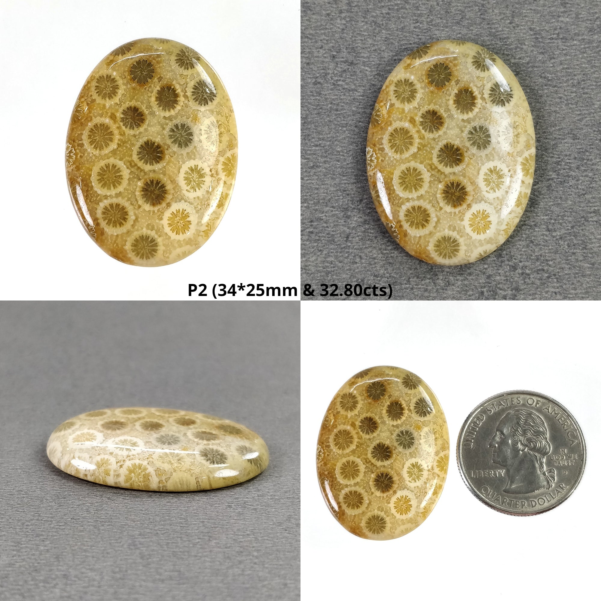 Natural Untreated FOSSIL Coral Gemstone Cabochon - Unheated Oval Cushion Shape for Jewelry Making, Wire Wrapping & Healing Crystal Collection