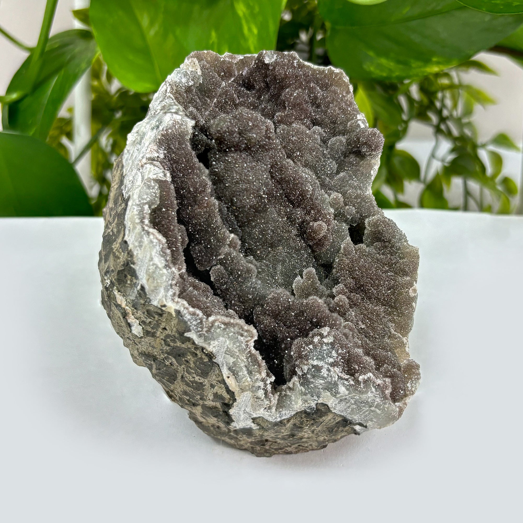 Natural Black Amethyst Crystal Geode - Rare Dark Gemstone Cluster Specimen from Uruguay | Home Décor, Healing, Meditation & Collection | Unique Mineral Rock for Office Desk, Living Room Display & Spiritual Practice
