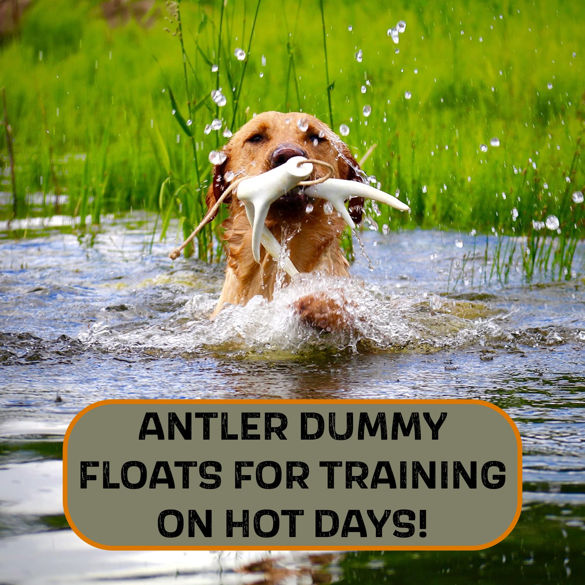 **White Dog Bone Shed Training Dummy – Hunting Dog Training Kit with Scent Work Accessories for Tracking & Retrieval – Perfect for Outdoor, Field & Home Dog Training**