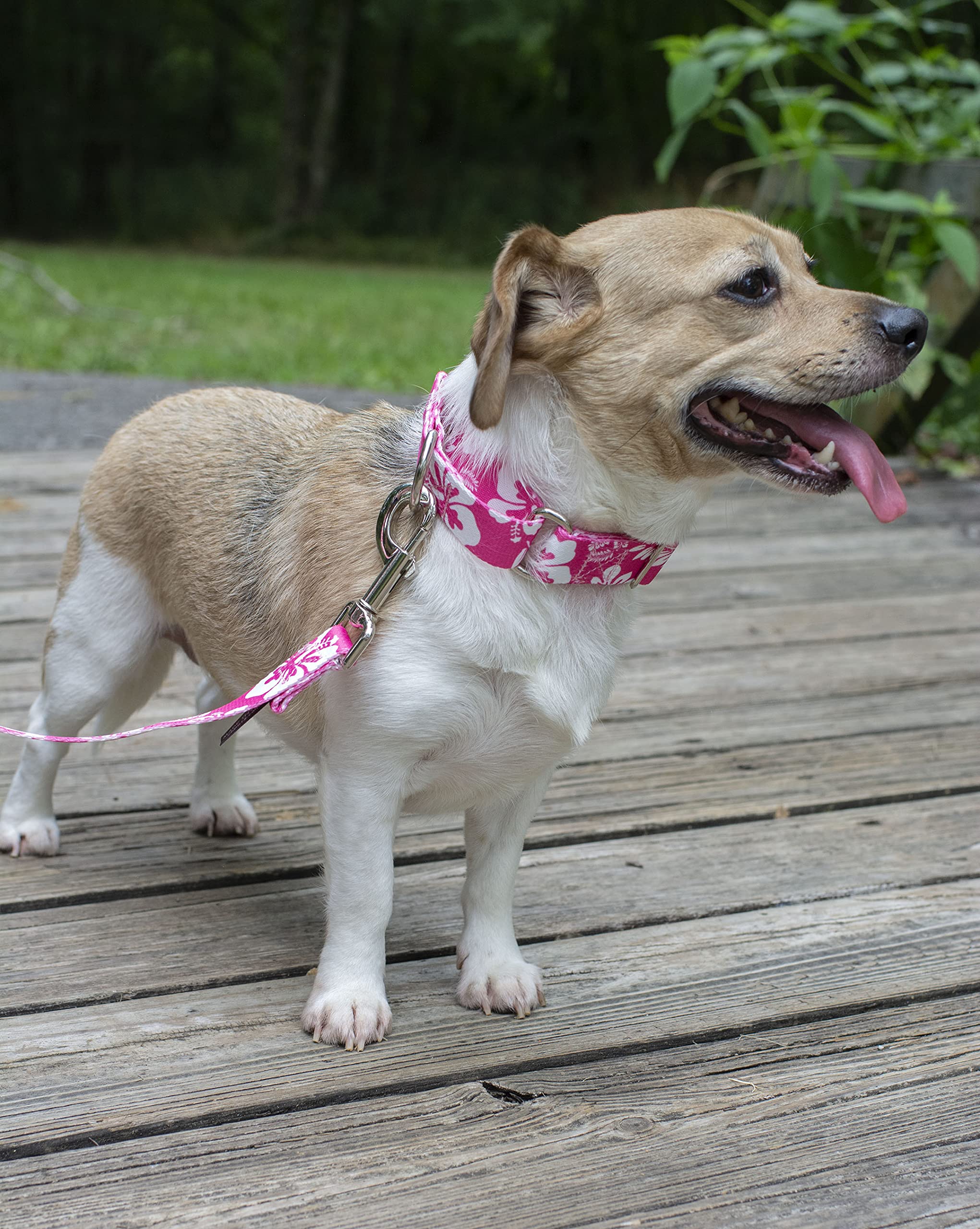 Country Brook Design - Pink Hawaiian Polyester Webbing for DIY Crafts, Dog Collars & Fashion Accessories | Tropical Style Straps for Sewing Projects, Handbags & Beachwear