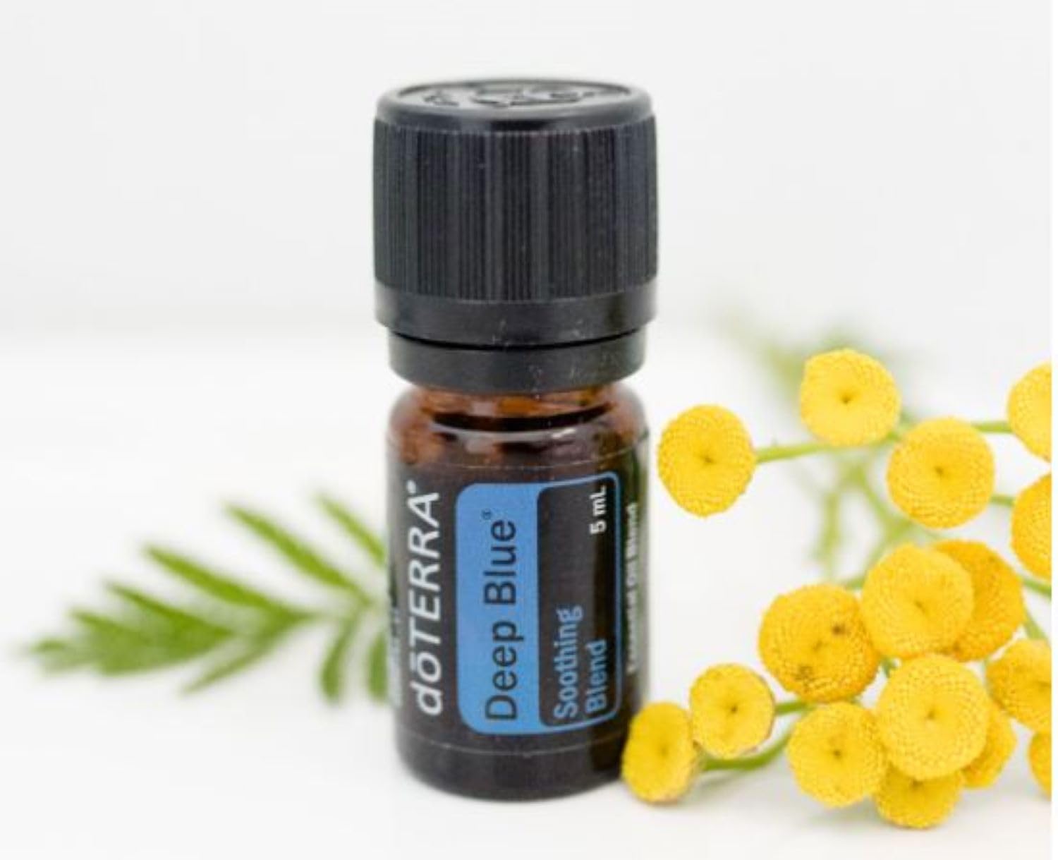 doTERRA Deep Blue Essential Oil Soothing Blend - 5ml (2 Pack) - Natural Pain Relief for Muscles & Joints - Perfect for Massage, Yoga & Post-Workout Recovery
