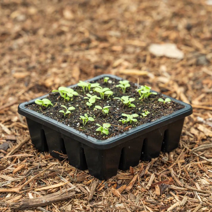 Epic Gardening 16 Cell Seed Starter Trays - Reusable Seedling Starter Kit for Indoor & Outdoor Planting - Perfect for Vegetables, Herbs & Flowers