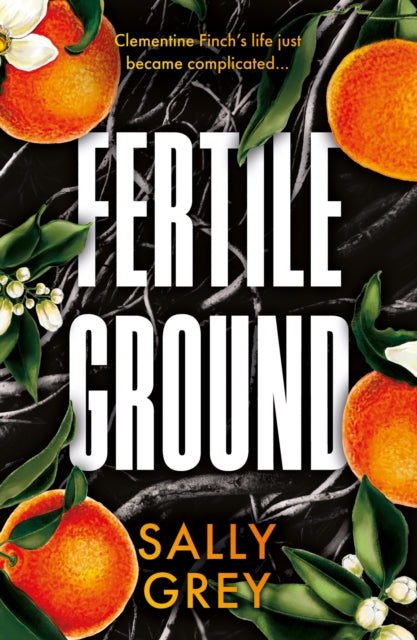 Fertile Ground - Premium Organic Potting Soil for Healthy Plants | Ideal for Indoor & Outdoor Gardening, Houseplants, Vegetables & Flowers