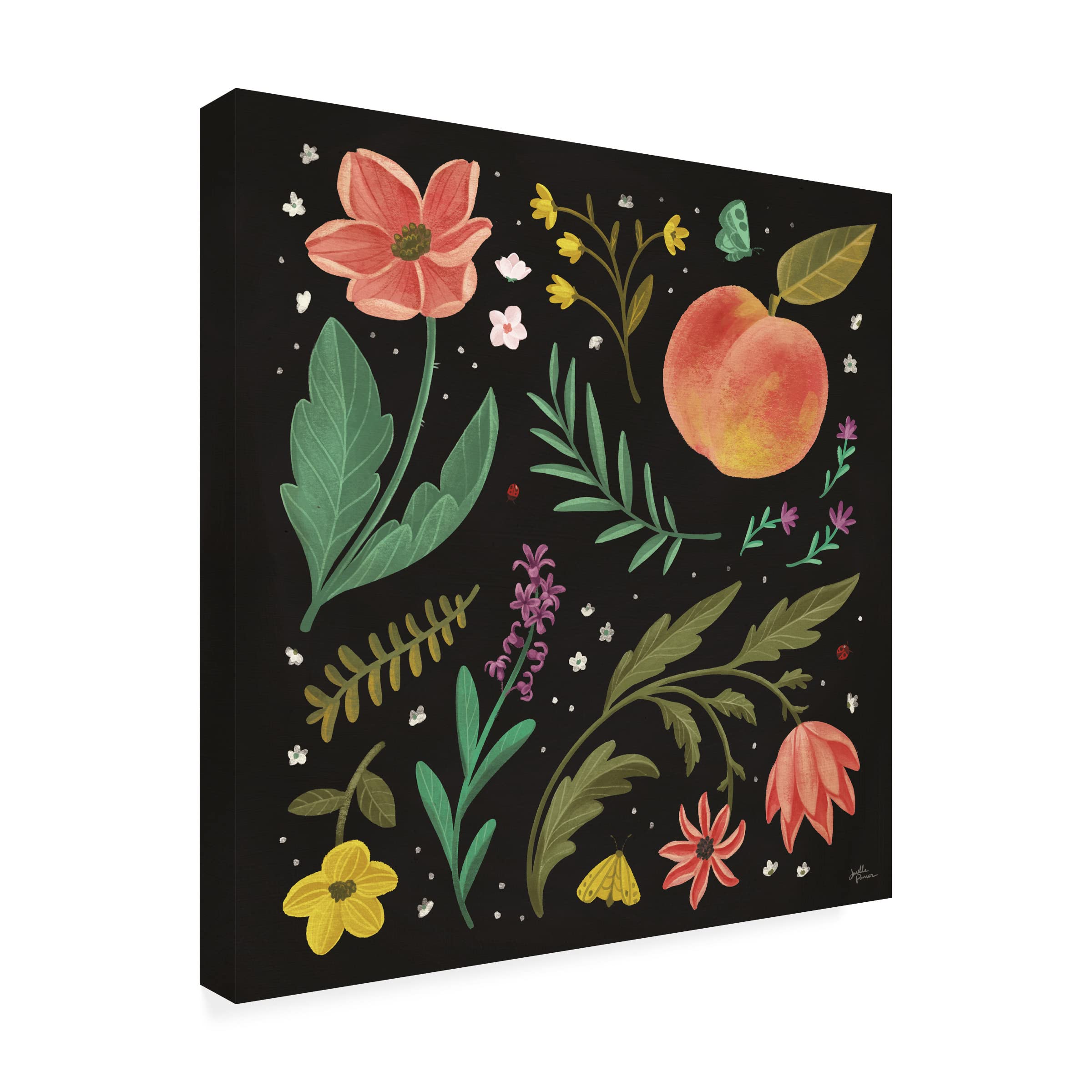 Janelle Penner Spring Botanical II Black Canvas Wall Art - Modern Floral Home Decor for Living Room, Bedroom & Office - Trademark Fine Art Collection