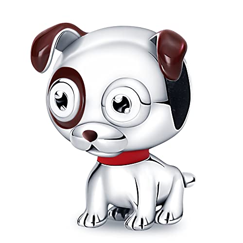 Dr. Dog Charms