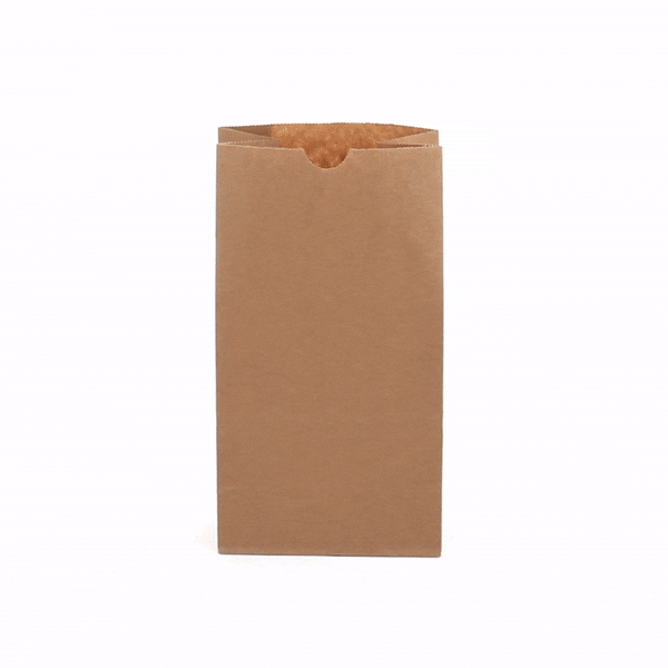 Premium Kraft Paper Bags 4 lb Capacity - 5