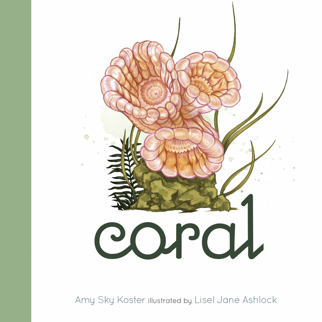 Coral Reef Book by 9781568463674 - Explore Marine Life & Ocean Conservation | Perfect for Marine Biology Enthusiasts & Classroom Learning